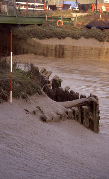 Timber Line Platform