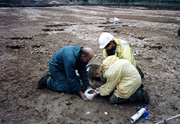 Mick, Jane and Frances excavate a cremation urn at Bon Secours, Ramsgate