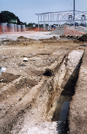 The area of the flint 'floor', set over a large infilled pit - perhaps the entrance to a flint mine?