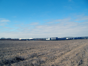 The fields around Columbus Avenue, Manston.