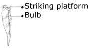 Flake characteristics