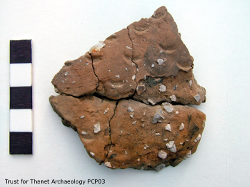 Middle Neolithic pottery with finger-tip impressions from Preston Caravan Park