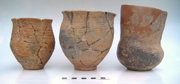 Three Thanet Beakers