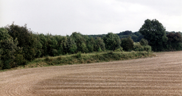 Julieberrie's Grave Earthen longbarrow, Chilham