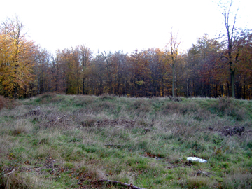 The Kings Wood Earthen longbarrow, Challock