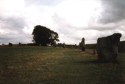 The Avebury stones