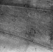 Cropmarks at Brooksend Hill, Great Brooksend Farm