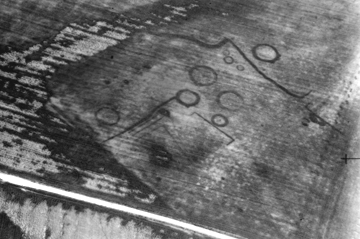 Cropmarks at Crispe Farm