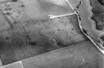 Cropmarks at Great Brooksend Farm