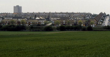 A Thanet ring-ditch monument showing as a cropmark in a growing field