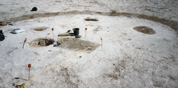 The excavation begins!