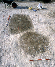 The central features ready for excavation