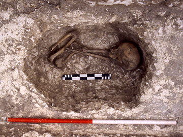The child burial within the whalebone-capped grave