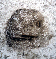 The second, outer grave