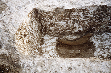 The whalebone-capped child's grave in the bottom of the ditch