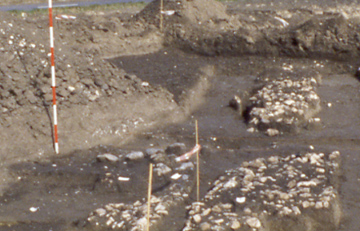 Late cobble wall