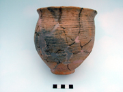 Cottington Lane Beaker