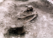 A lady and her Beaker