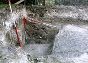 Section of the Beauforts ring-ditch