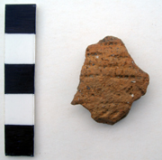 Beaker sherd from St. Stephen's College