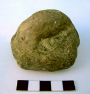 Glauconitic nodule found in the fill of the Beaker grave