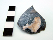 Tip of the end and side scraper found inside the skull of the Beauforts skeleton