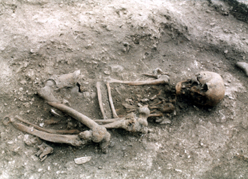 The skeleton from the Beauforts Beaker burial