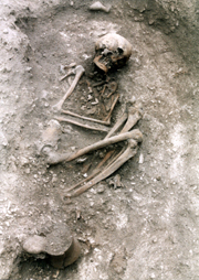 The skeleton from the Beauforts Beaker burial