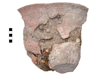 The QEQM Beaker as excavated