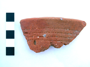 Rim sherd from the QEQM Beaker showing a seed impression