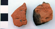 Fingernail rusticated Beaker sherds from QEQM