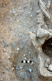 3 flint arrowheads in the QEQM Beaker burial