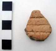 Beaker sherd from St. Stephen's College, North Foreland