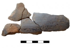 Image of Early Neolithic pottery from Perry Wood