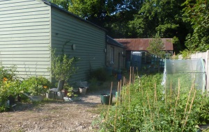 Our garden at the Antoinette Centre 