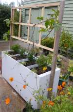 Planter, built from a filing cabinet