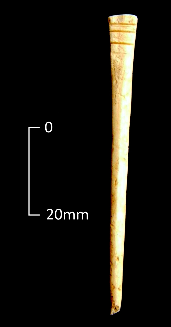 Bone pin with incised decoration from Iron Age Burial, North Foreland Broadstairs.